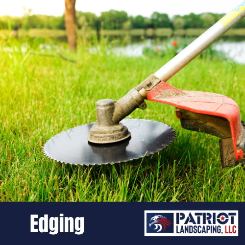 lawn edging