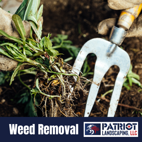 weed removal