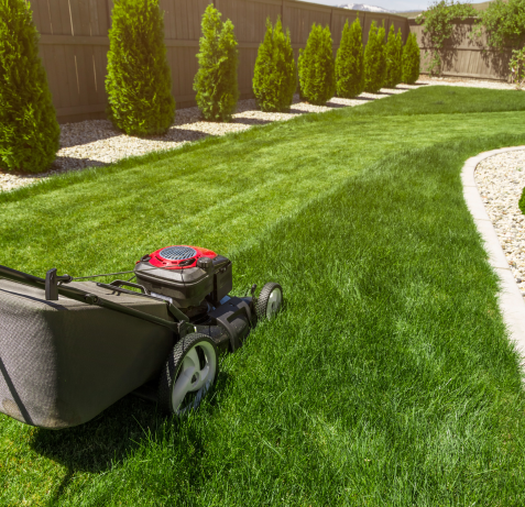 Lawn Care, Lawn Maintenance