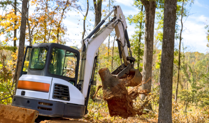 Land Clearing, Lexington SC Land Clearing, Lexington SC