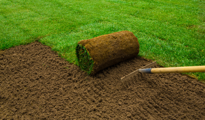 Landscaping and Sod, Lexington SC Landscaping and Sod, Lexington SC