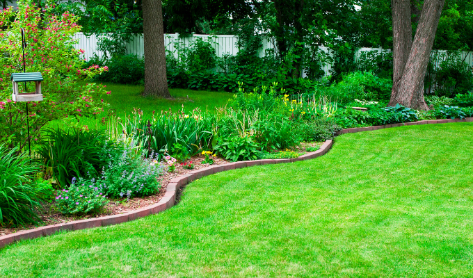 Lawn Maintenance, Lexington SC Lawn Maintenance, Lexington SC