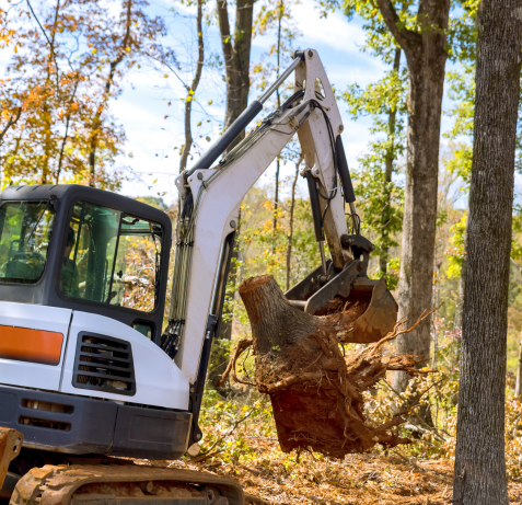 land clearing