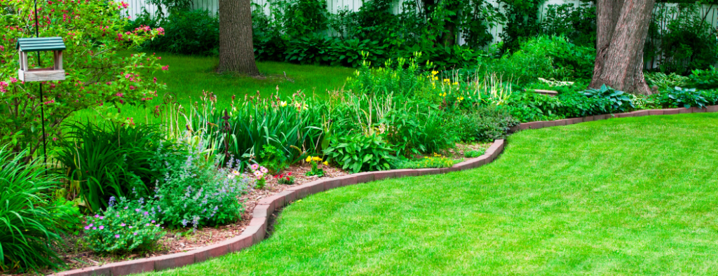 residential lawn maintenance in Lexington SC