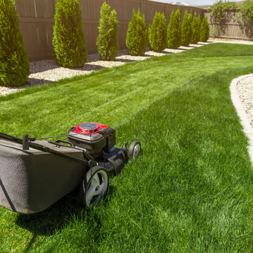Lawn Maintenance